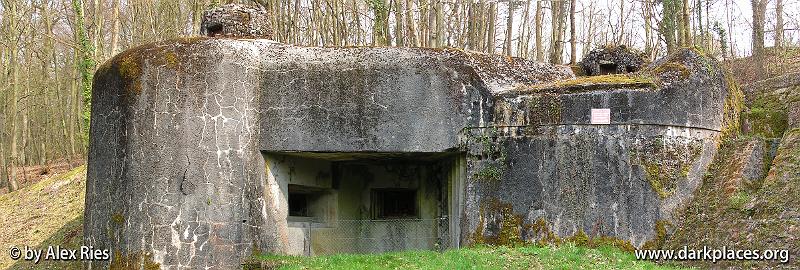 Panorama 1.jpg